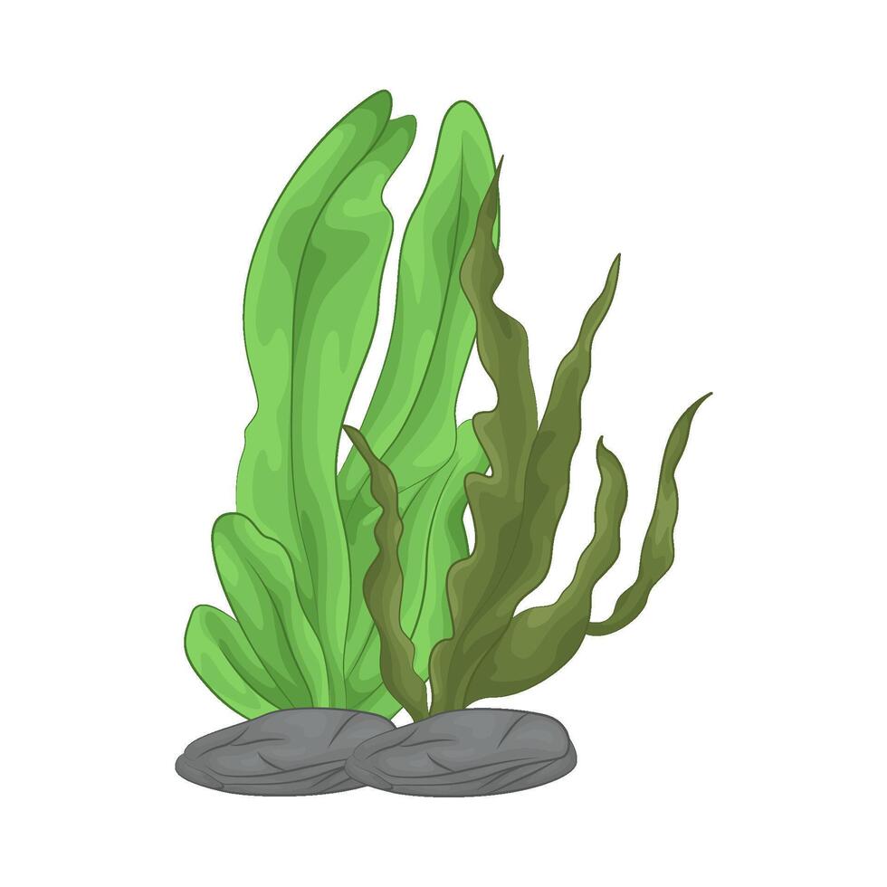 Illustration of seaweed vector