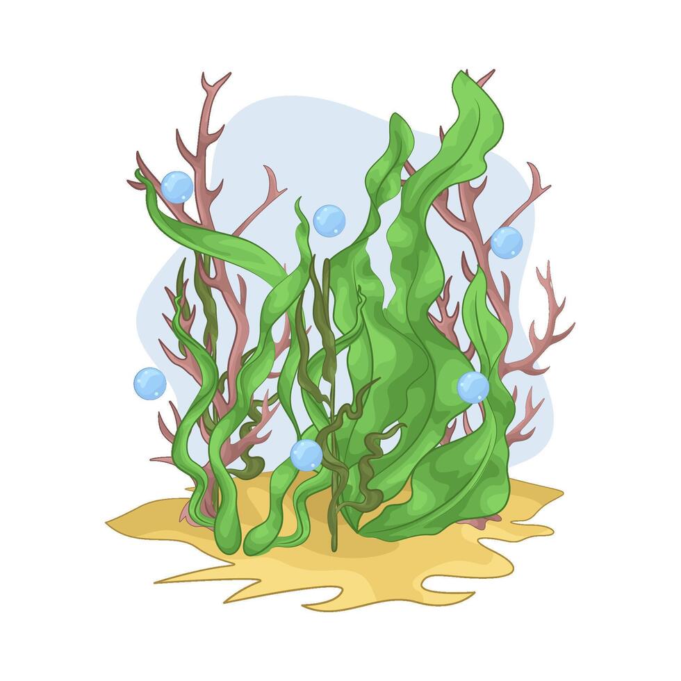 Illustration of seaweed vector