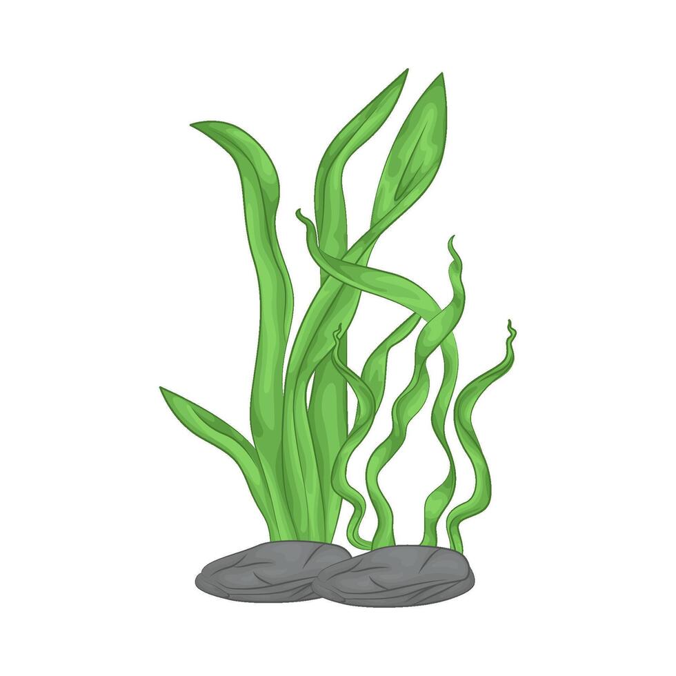 Illustration of seaweed vector