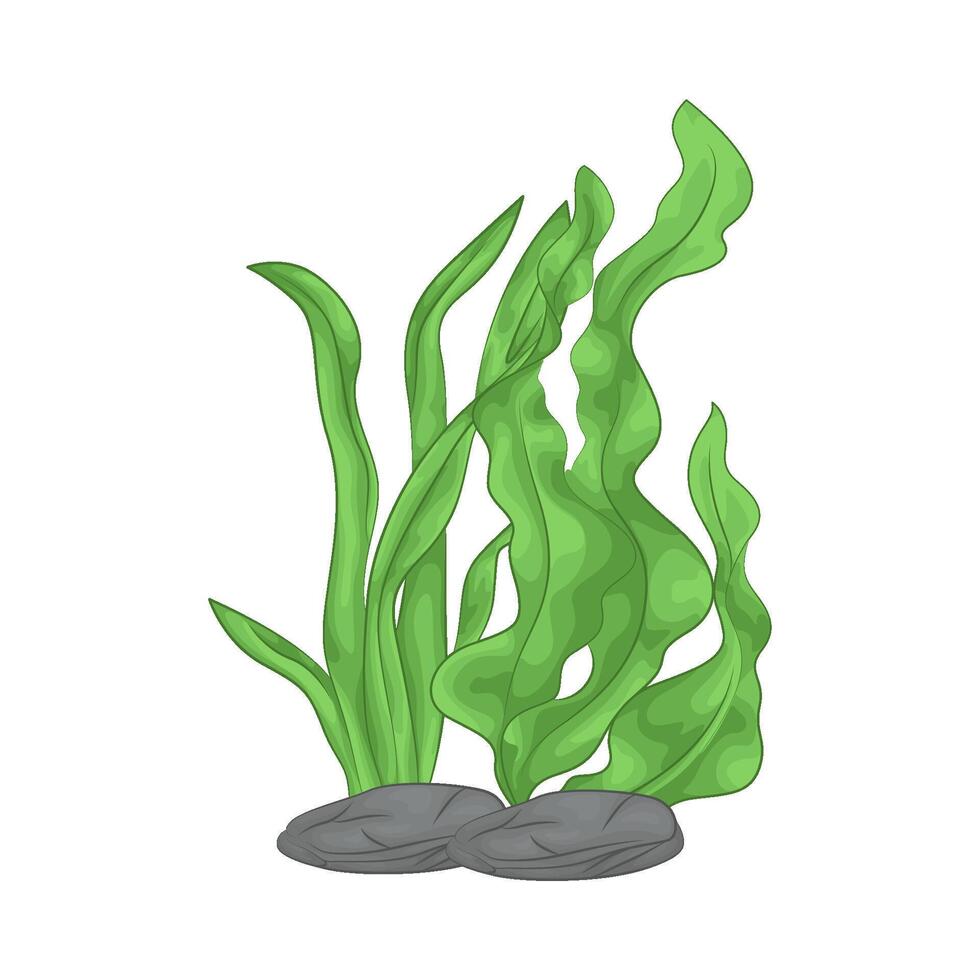 Illustration of seaweed vector