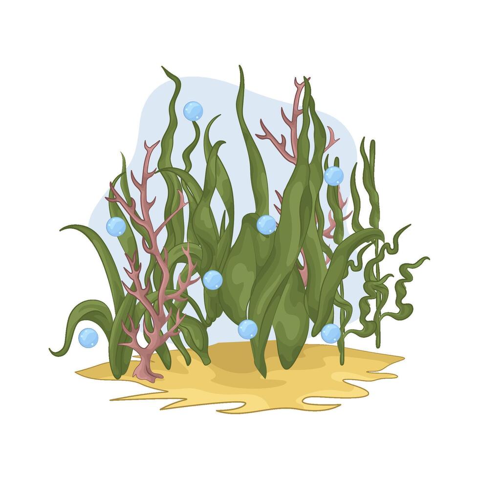 Illustration of seaweed vector
