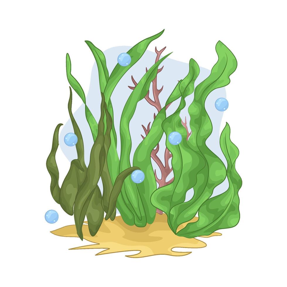 Illustration of seaweed vector