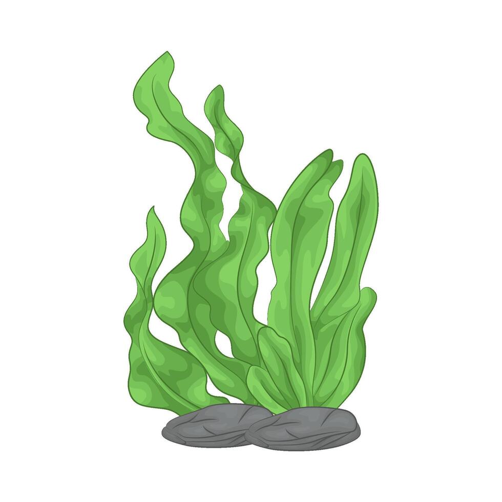 Illustration of seaweed vector