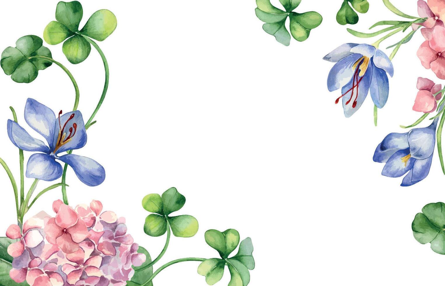 Border with pink hydrangea and clover watercolor illustration isolated on white. Painted crocus flowers Easter card. Hand drawn Irish symbol. Design for St.Patricks day, springtime, package. vector