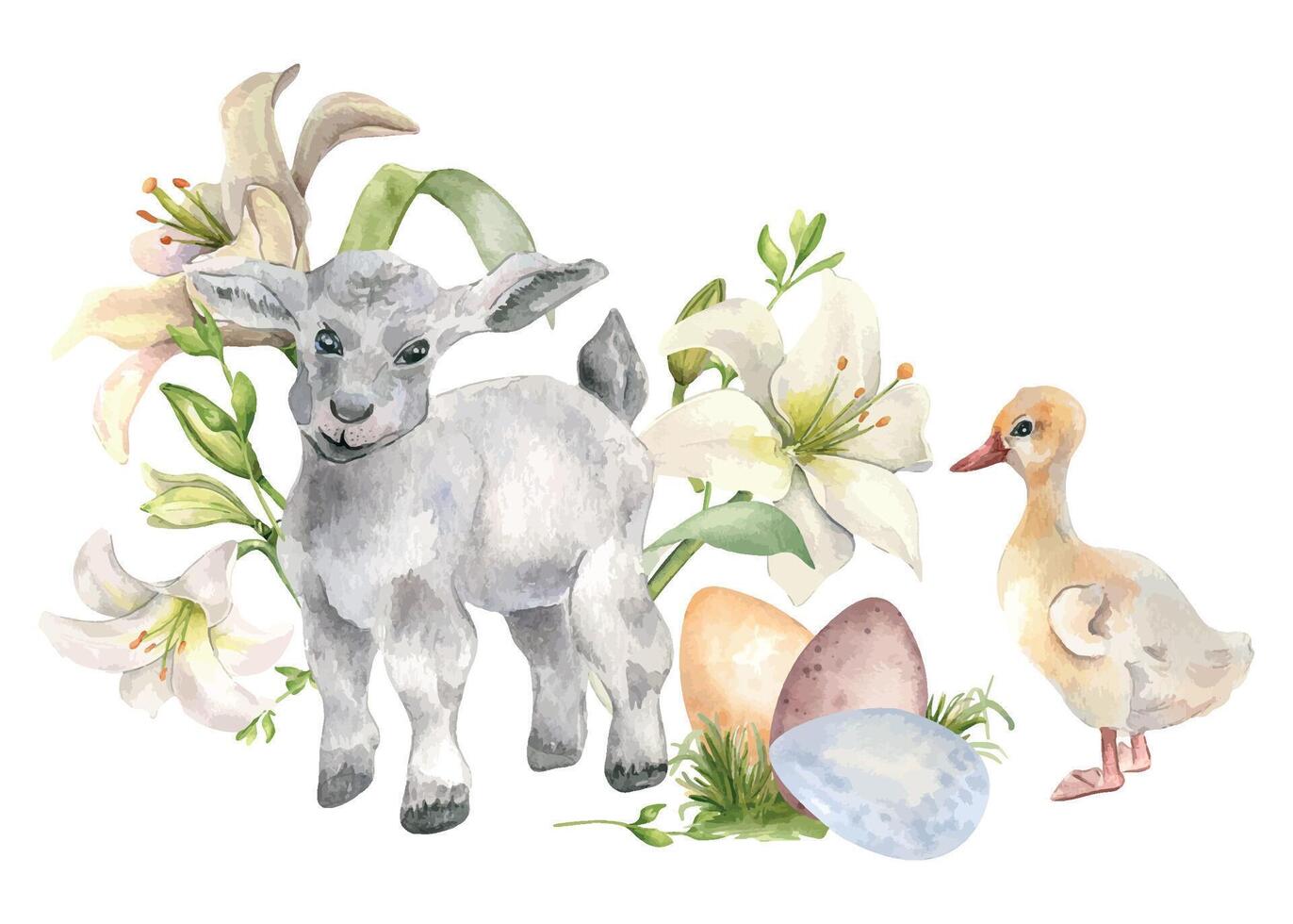 Easter lamb and white flowers. Easter floral illustration isolated on white background. Watercolor baby sheep and gosling hand drawn. Painted lily and pet for design greeting card, decoration vector