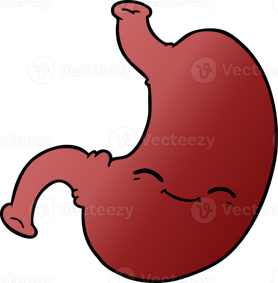 cartoon stomach drawing png