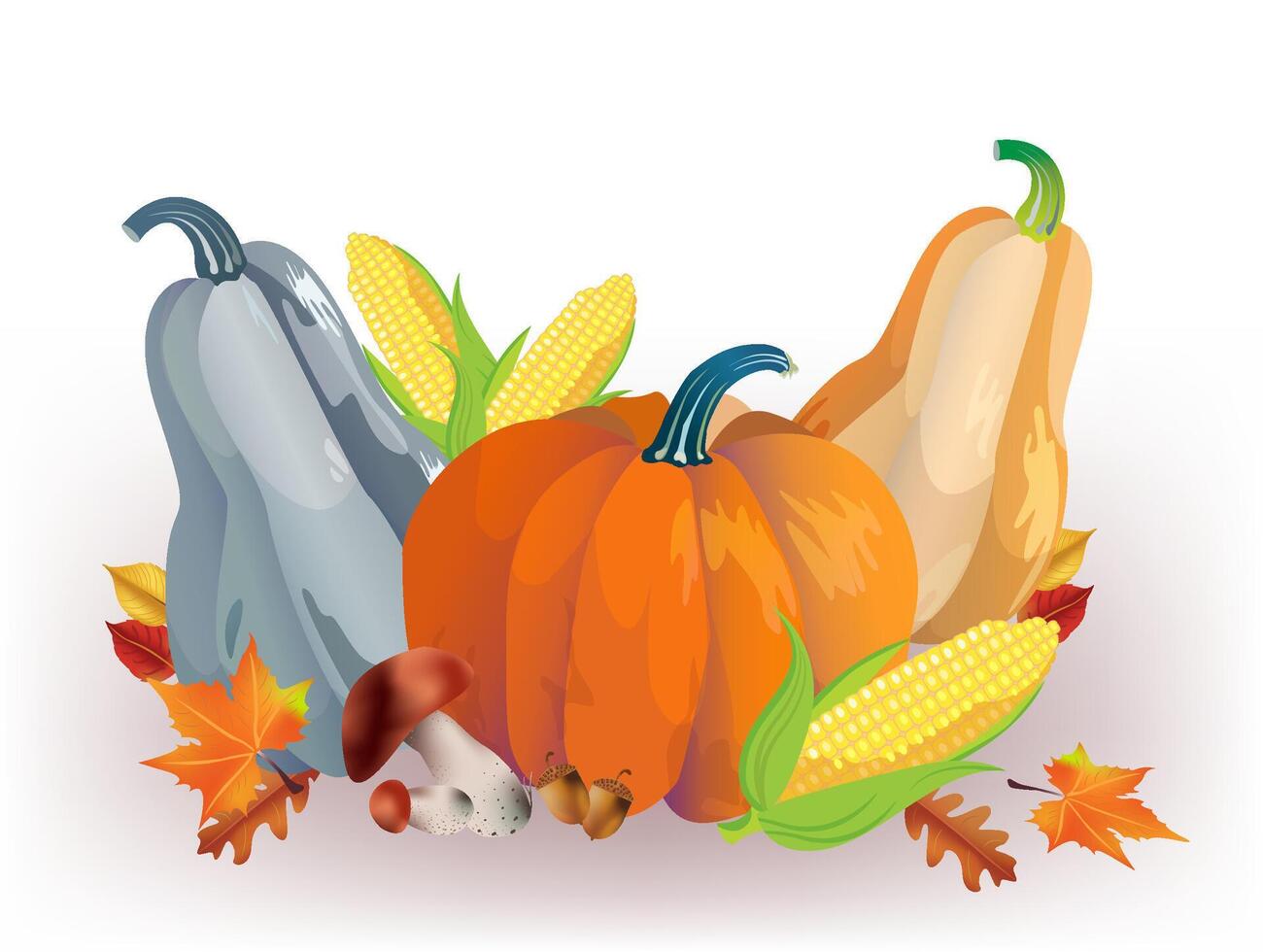 Seasonal Vegetables on white background. Autumn Pumpkins and corns set. illustration for holiday harvest festival or farm market vector
