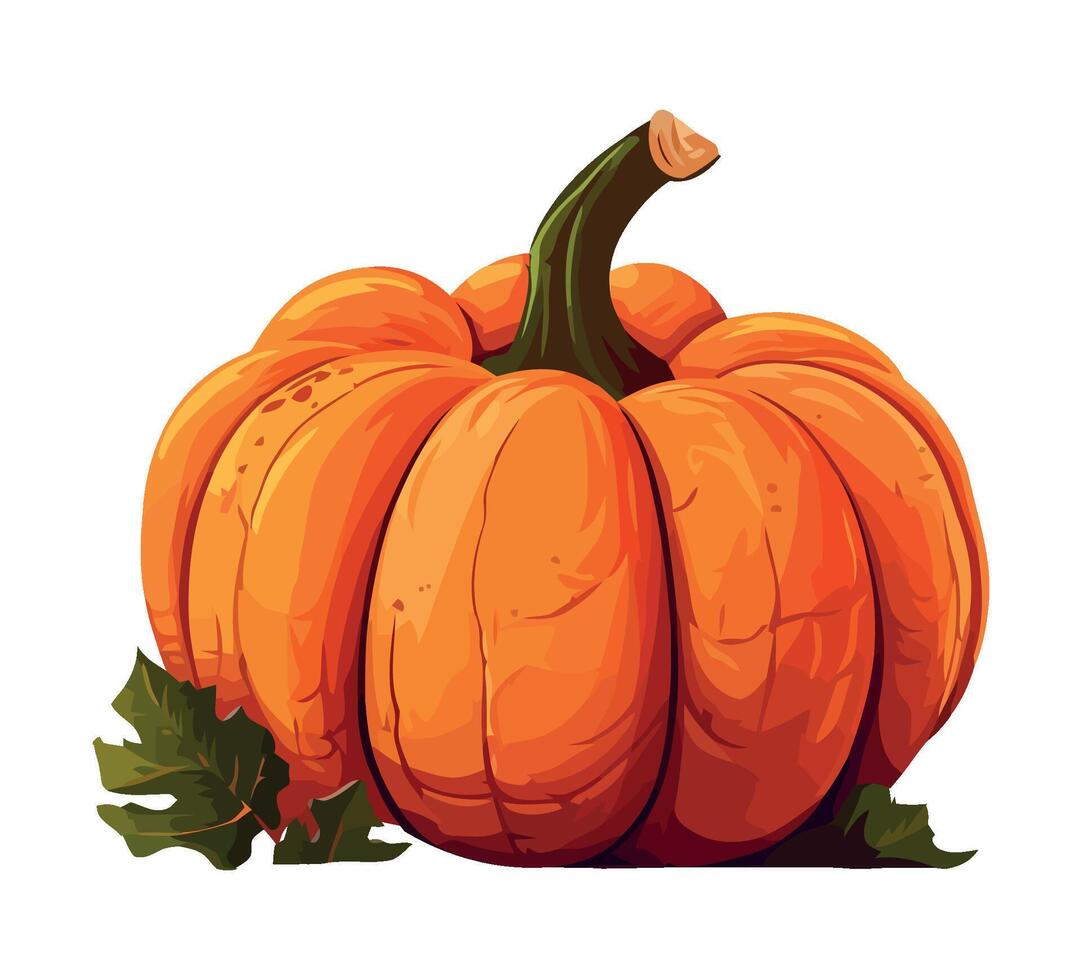 Fresh ripe pumpkin white backdrop icon isolated vector