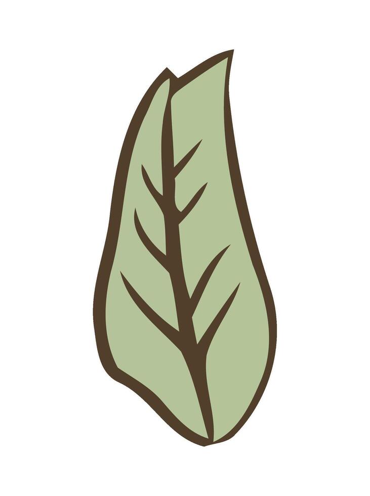 Organic growth symbolized by green leaf icon isolated vector