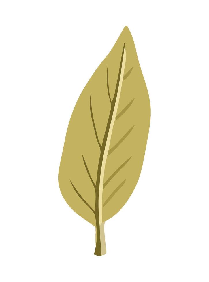 Nature growth a green leaf icon isolated vector