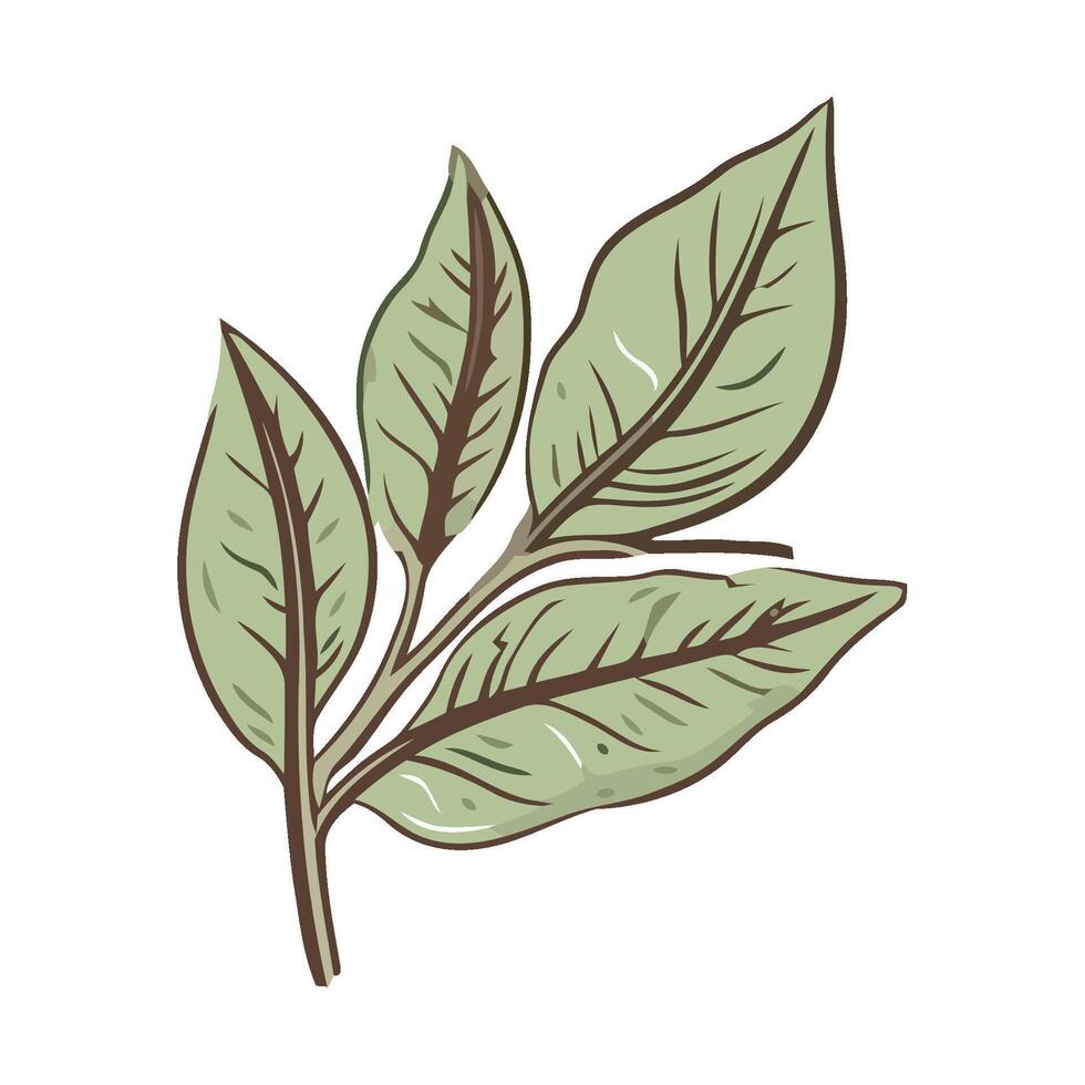 Fresh green leaves, tree branch icon isolated vector