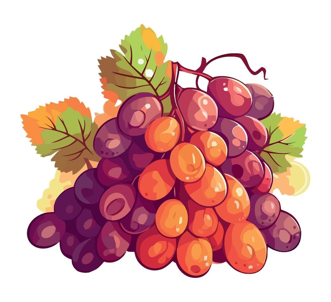 Ripe grape bunches on green leafy branch isolated vector