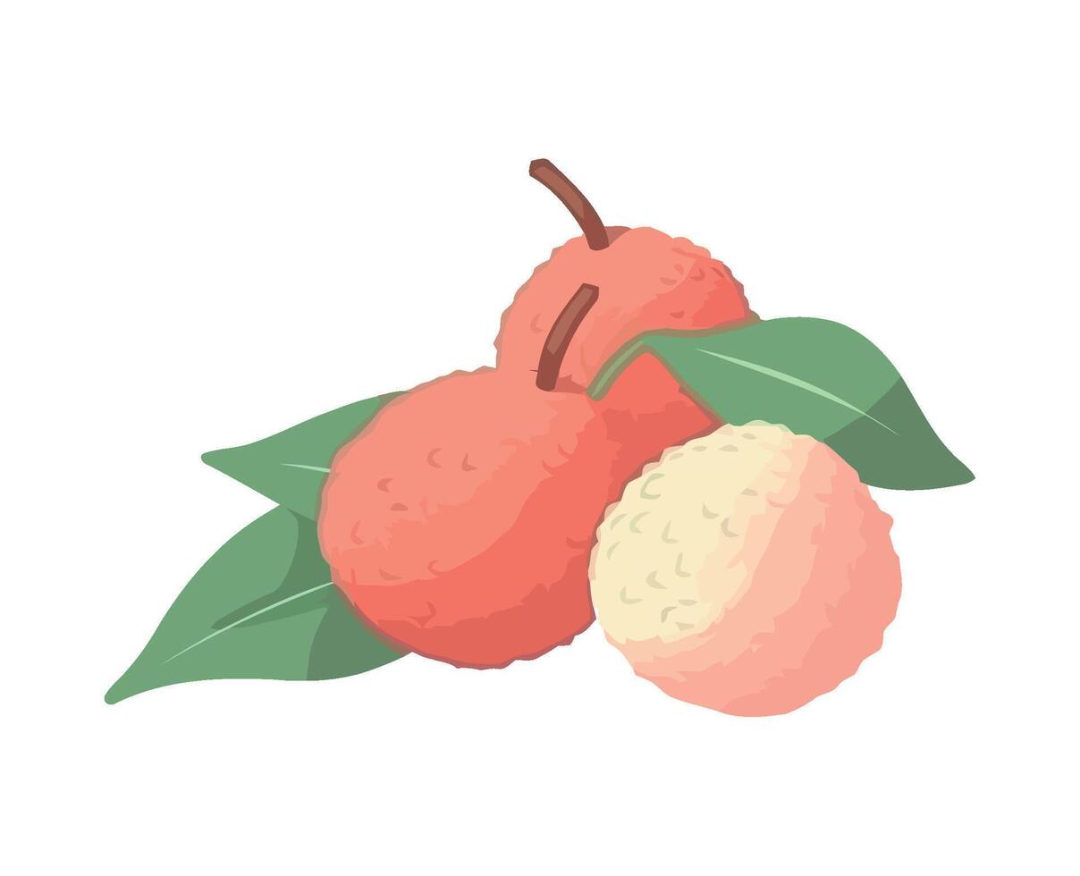 Ripe lychee, juicy berry, fresh herb sketch icon isolated vector