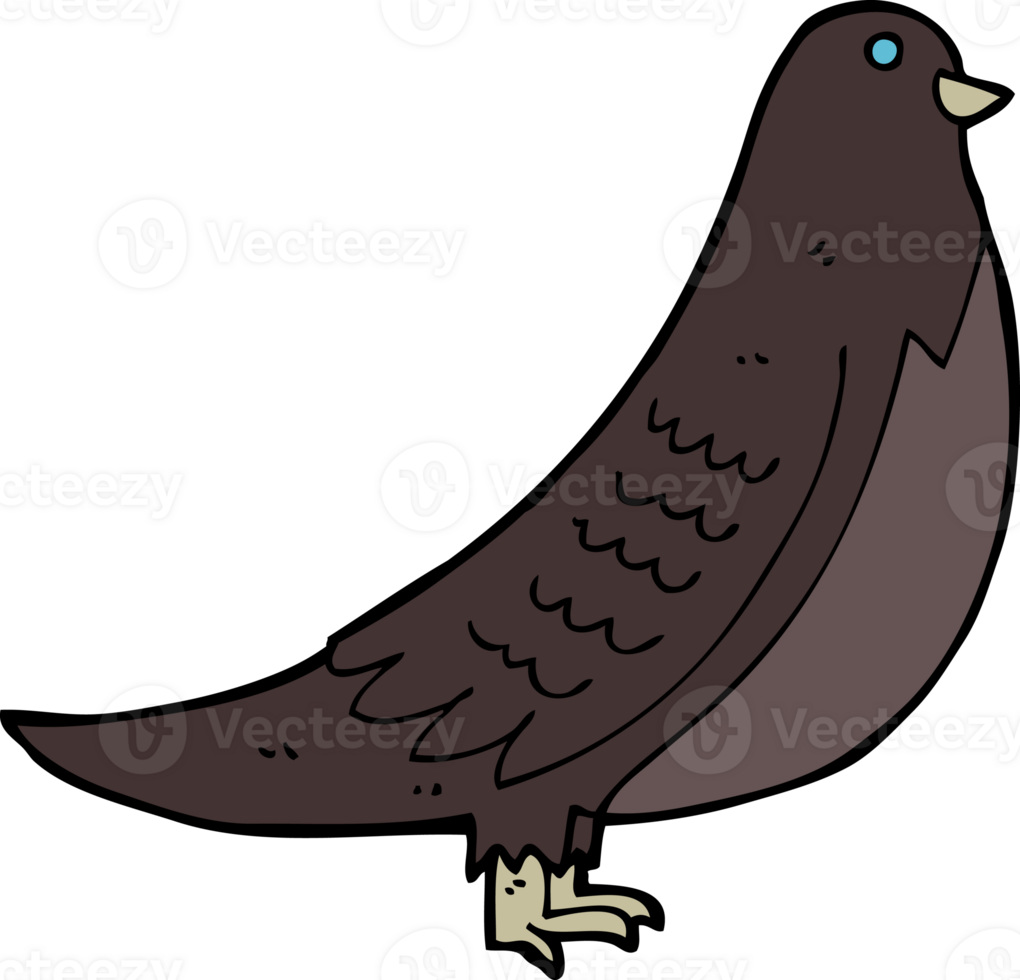 cartoon bird drawing png