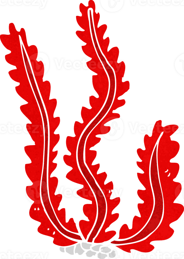 cartoon seaweed drawing png