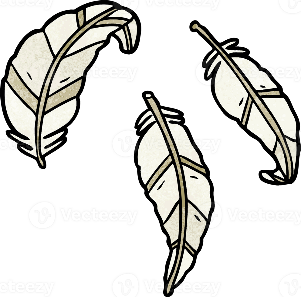 cartoon feathers drawing png