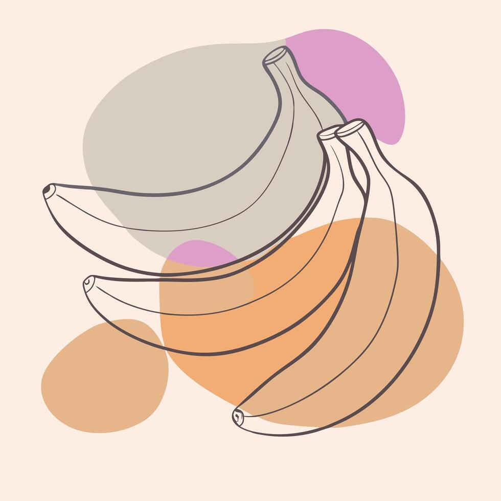 Bananas continuous line drawing illustration vector