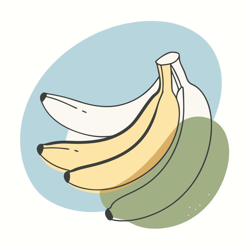 Bananas continuous line drawing illustration vector