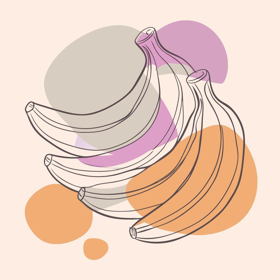 Bananas continuous line drawing illustration vector