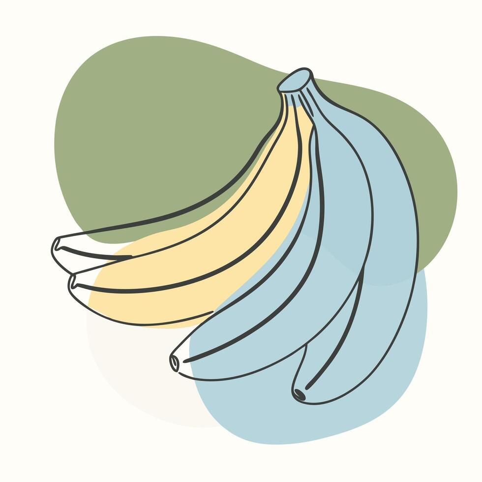 Bananas continuous line drawing illustration vector