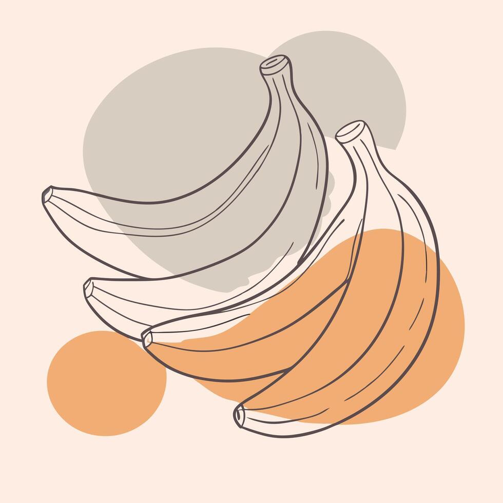 Bananas continuous line drawing illustration vector