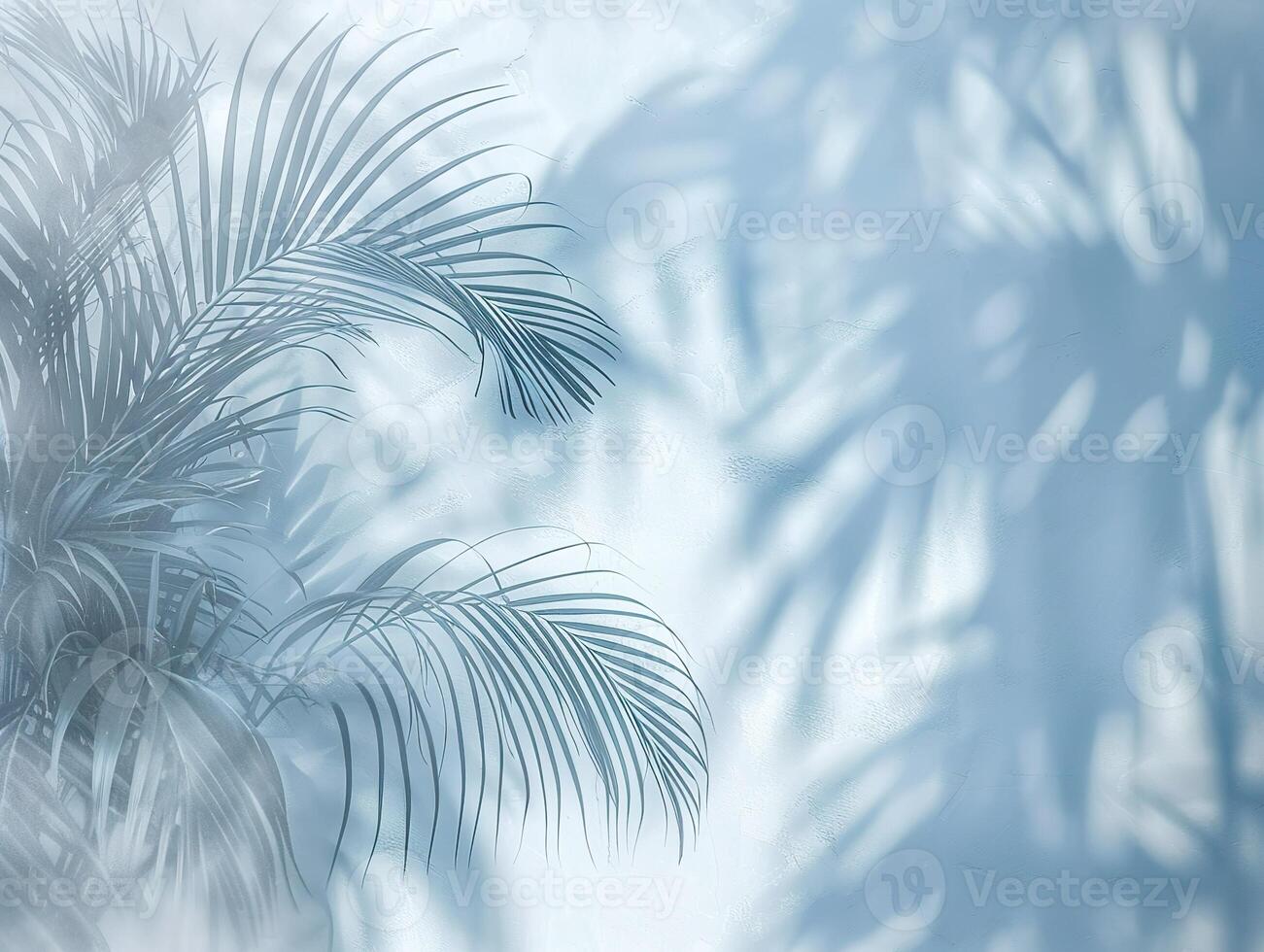 A leafy palm tree casts a shadow on a blue wall photo