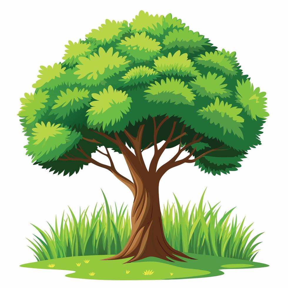 Tree sketch art illustration white background vector