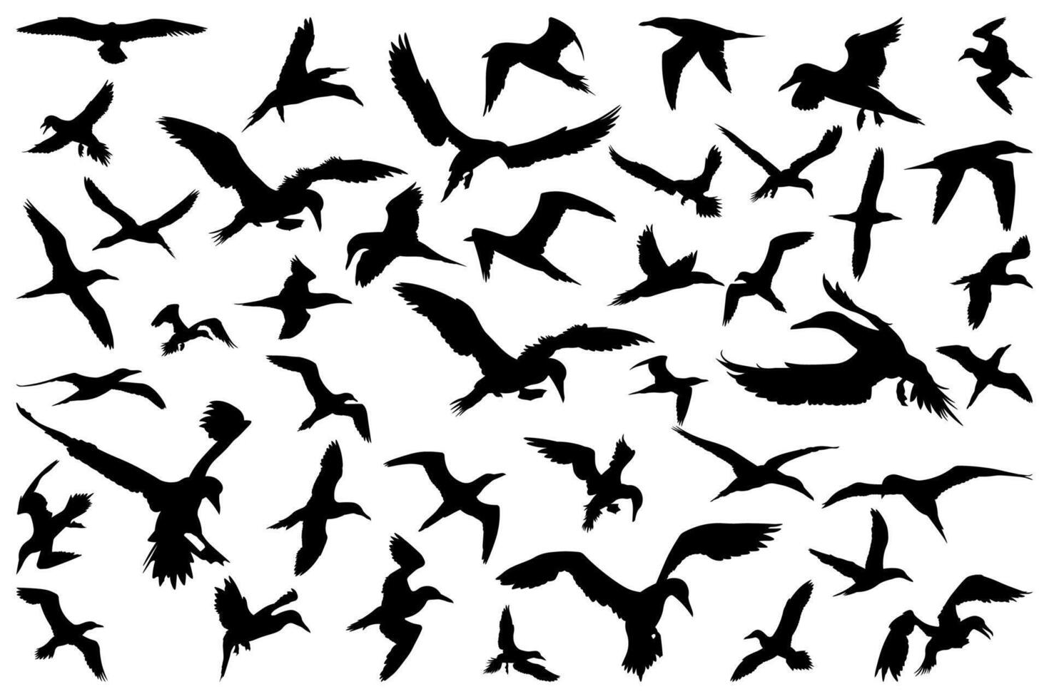 Seagull silhouette illustration set vector