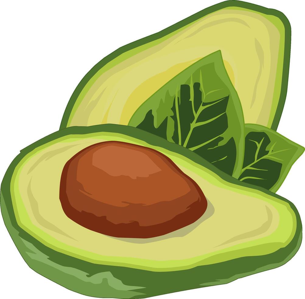 Custom avocado fruit for illustrator and graphic designer vector