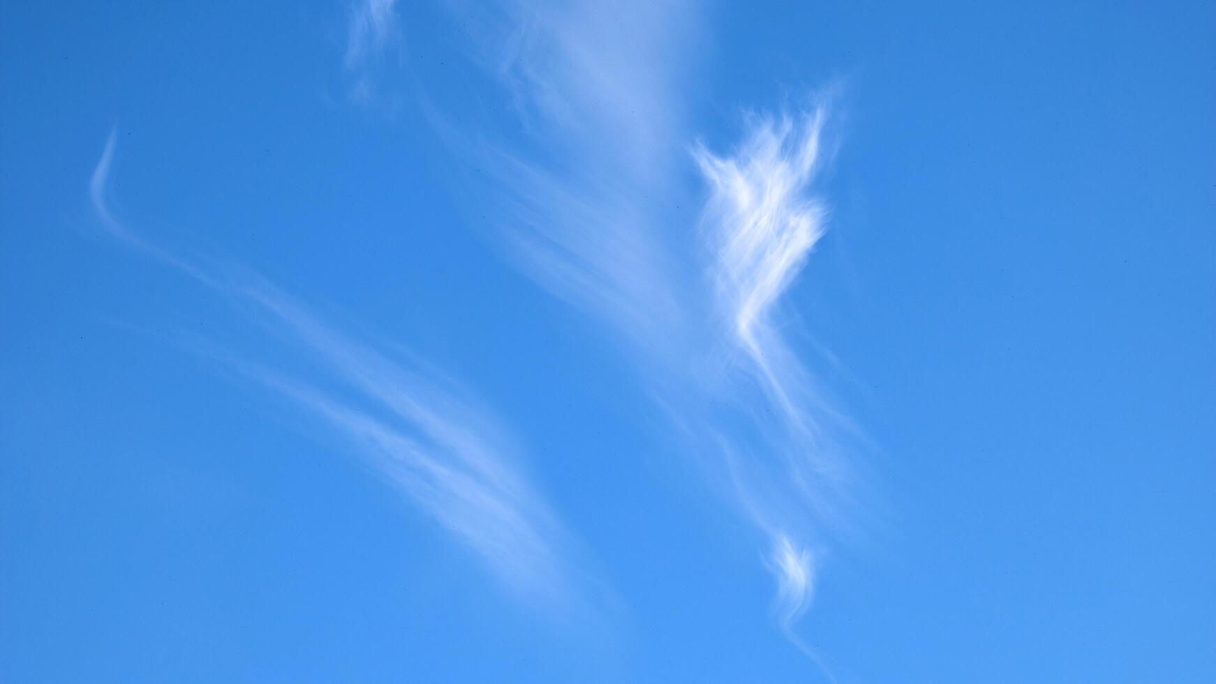 Clear blue sky with unusual white clouds, nature background, painted sky, natural template photo