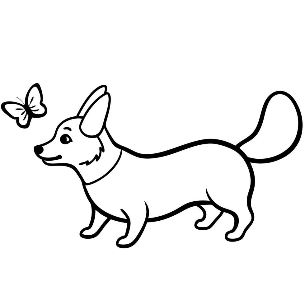 Corgi dog breed coloring pages for kids coloring book vector