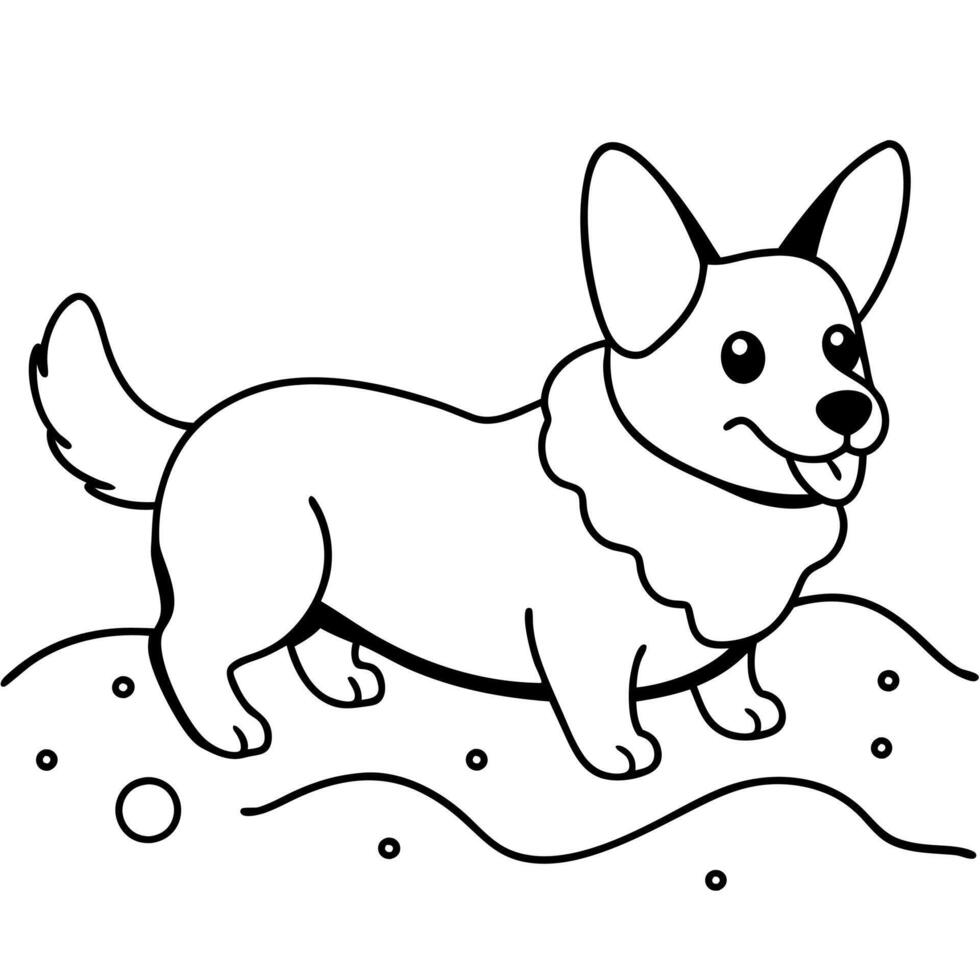 Corgi dog breed coloring pages for kids coloring book vector