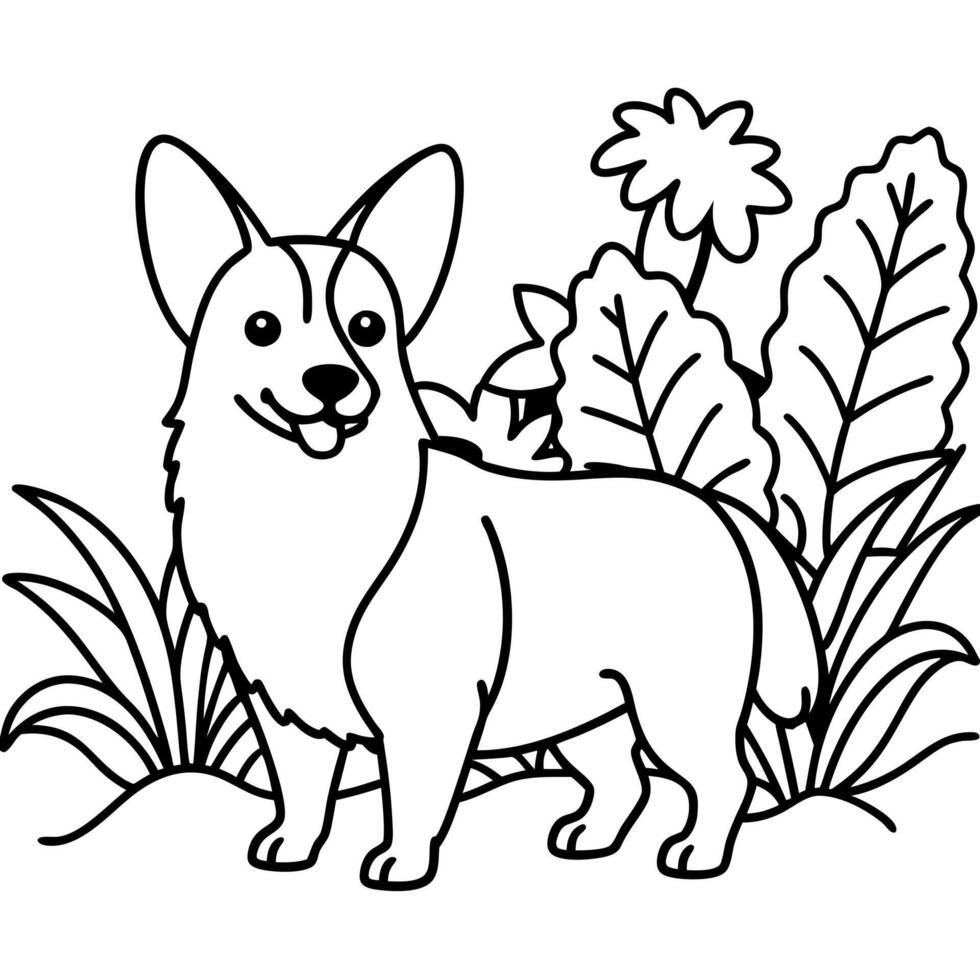 Corgi dog breed coloring pages for kids coloring book vector
