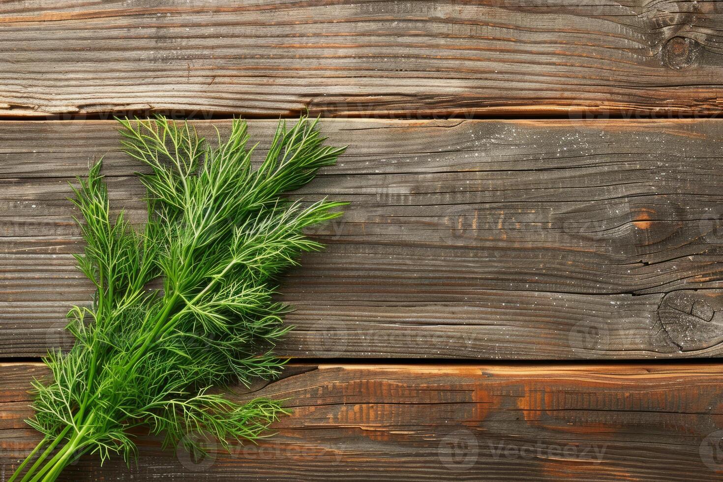 Dill on a rustic wooden background photo
