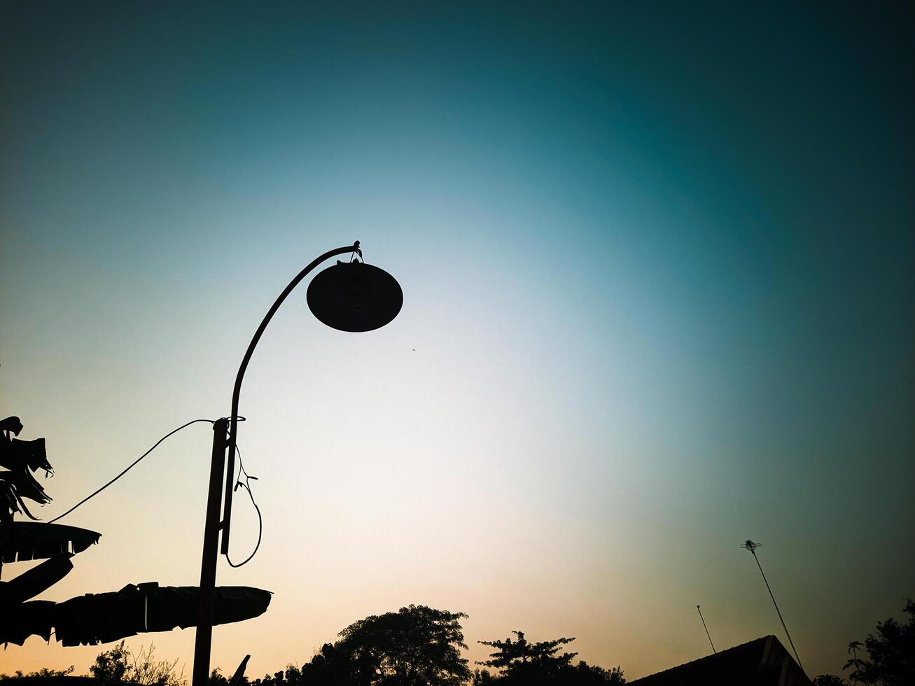 Peaceful Sunset Silhouette of a Street Lamp photo