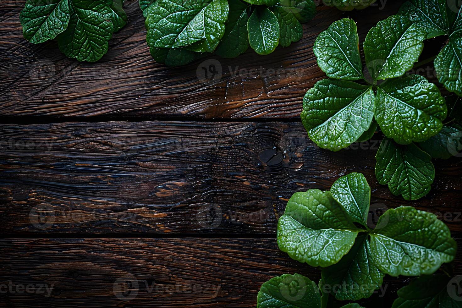 Fresh Green Clover Leaves on Rustic Wooden Background for St. Patrick's Day Design photo