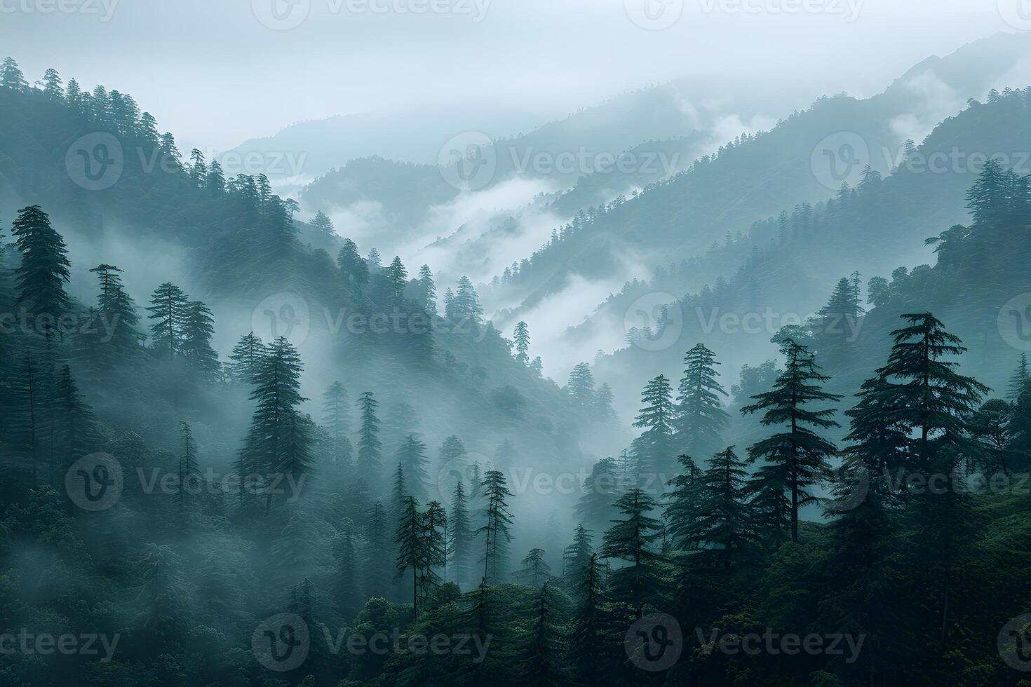 Misty Mountain Landscape with Dense Forest and Layered Hills - Nature Photography Print photo