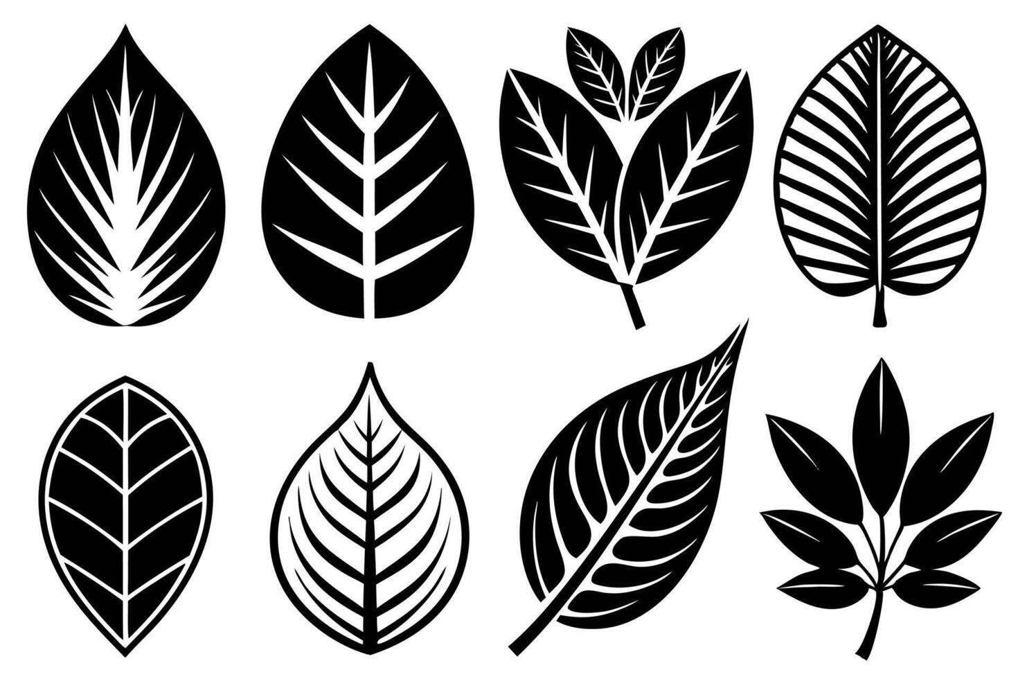 Leaves Silhouette of Sleek Pieces.eps vector