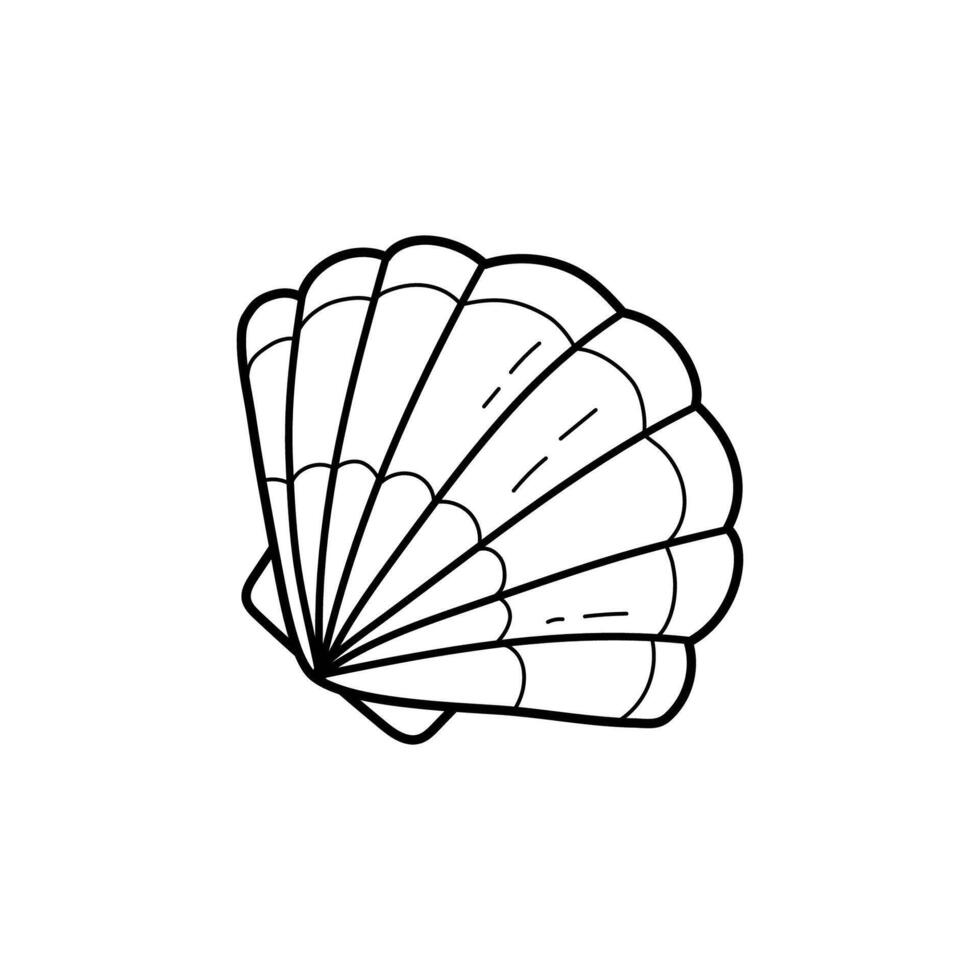 Pearl shelll illustration. Line art. printable coloring page for kids and adults vector