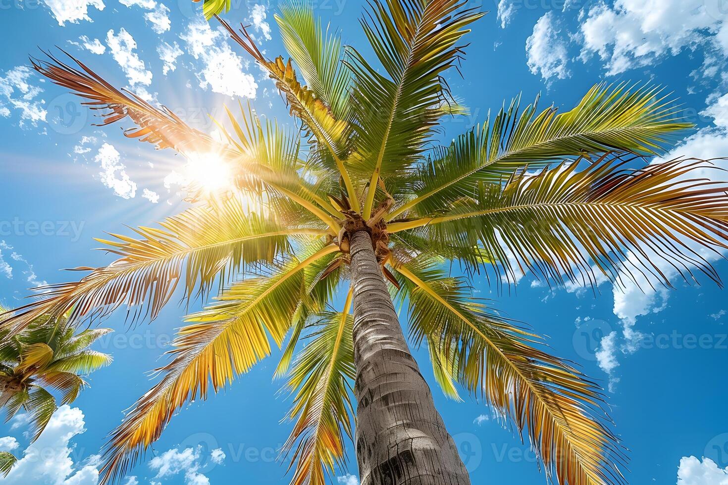 Tropical Paradise Palm Tree with Vibrant Leaves Against Sunny Sky Ideal for Summer Vacation Designs photo