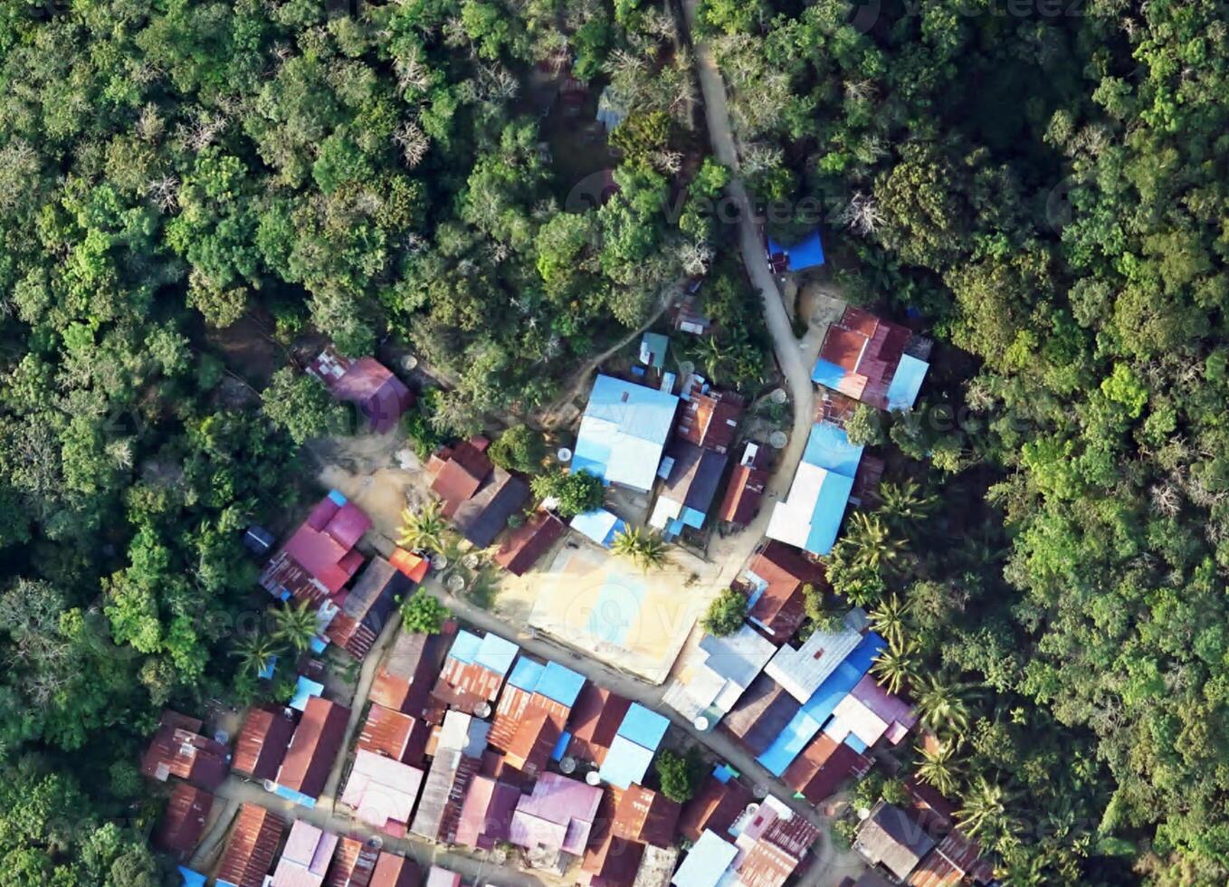 aerial view using a drone of the jungle of Borneo photo