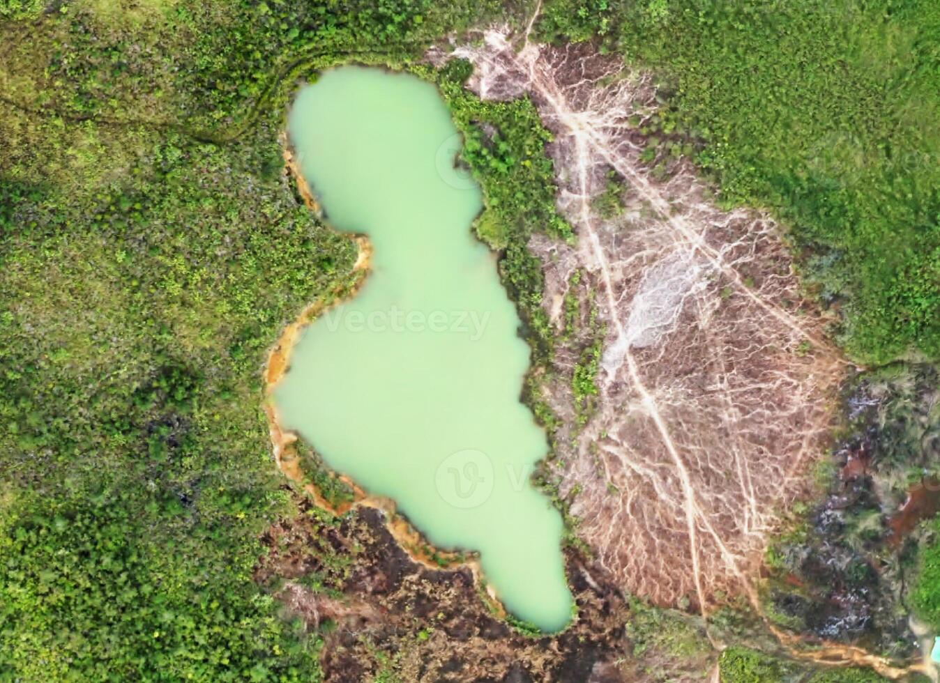 aerial view using a drone of the jungle of Borneo photo