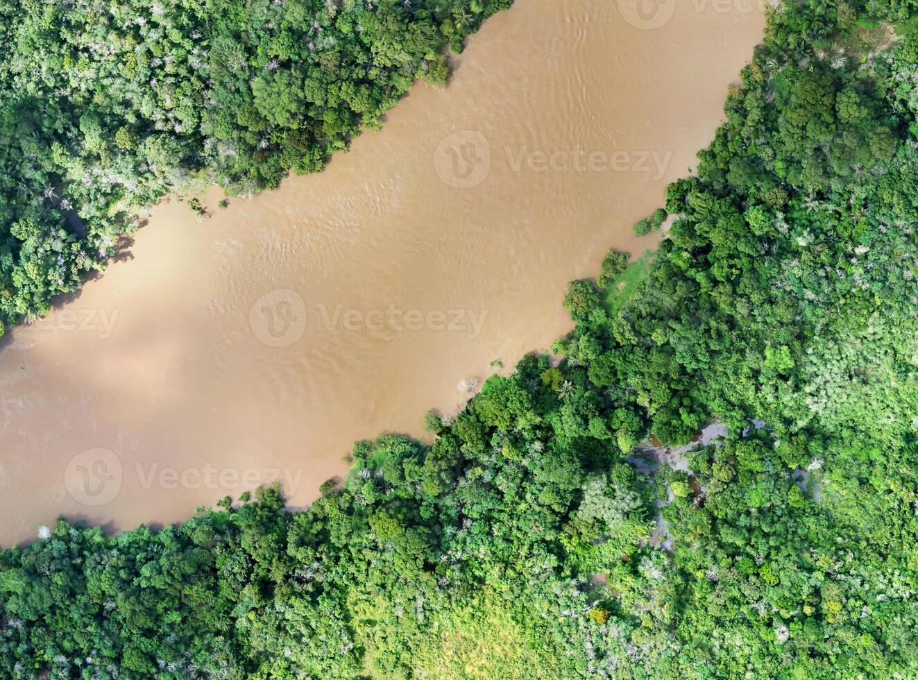 aerial view using a drone of the jungle of Borneo photo