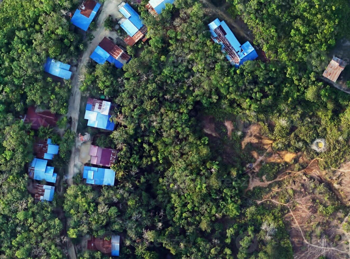 aerial view using a drone of the jungle of Borneo photo