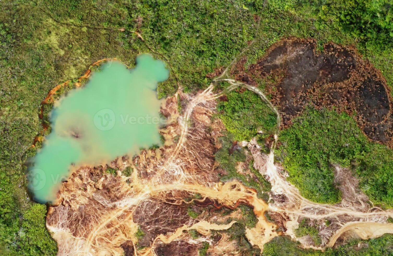 aerial view using a drone of the jungle of Borneo photo