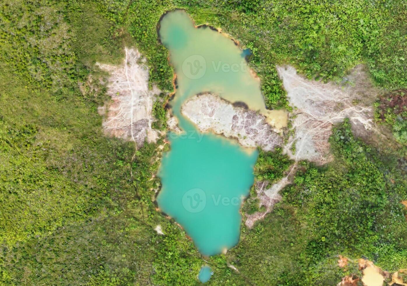 aerial view using a drone of the jungle of Borneo photo