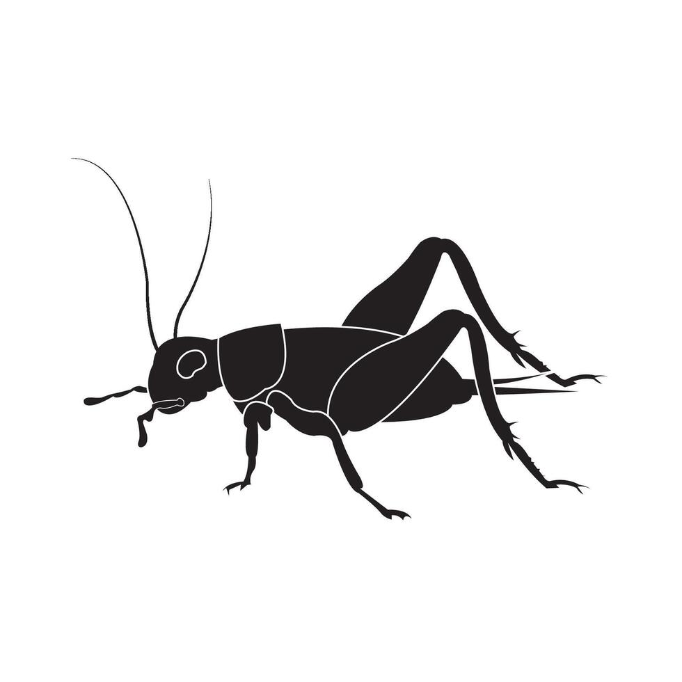 cricket insect icon illustration design template vector