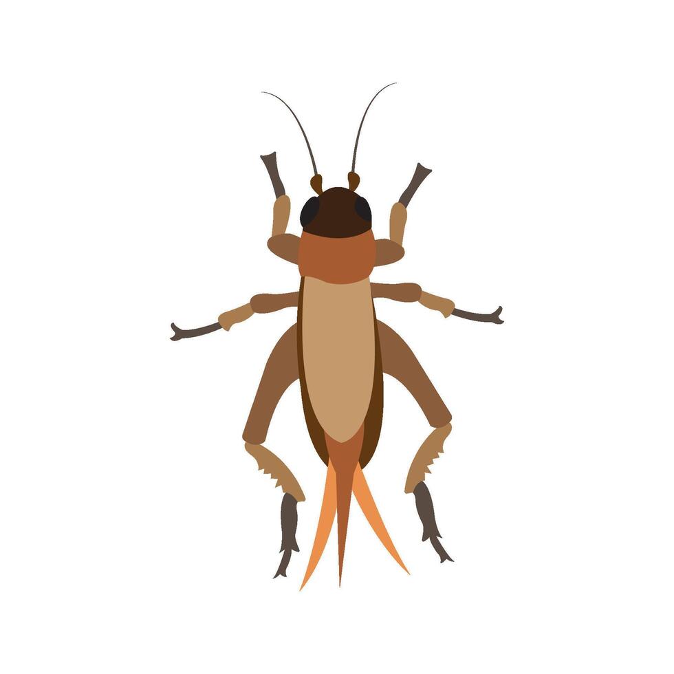 cricket insect icon illustration design template vector