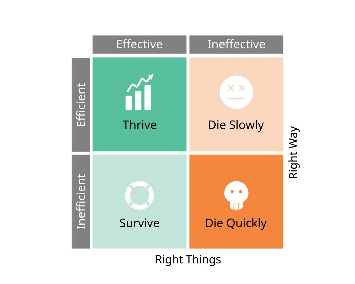 Efficiency and Effectiveness Matrix for thrive, survive, die slowly, die quickly for the efficiency in management vector