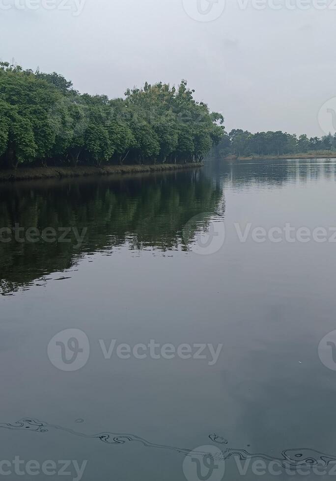 a morning nature landscape of the lake photo